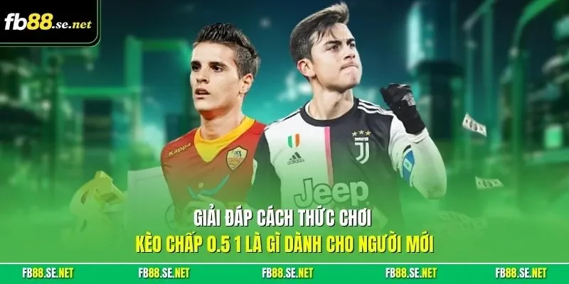 Giải đáp cách thức chơi kèo chấp 0.5 1 là gì dành cho người mới