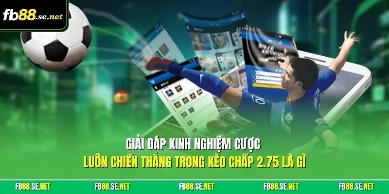 Giải đáp kinh nghiệm cược luôn chiến thắng trong kèo chấp 2.75 là gì