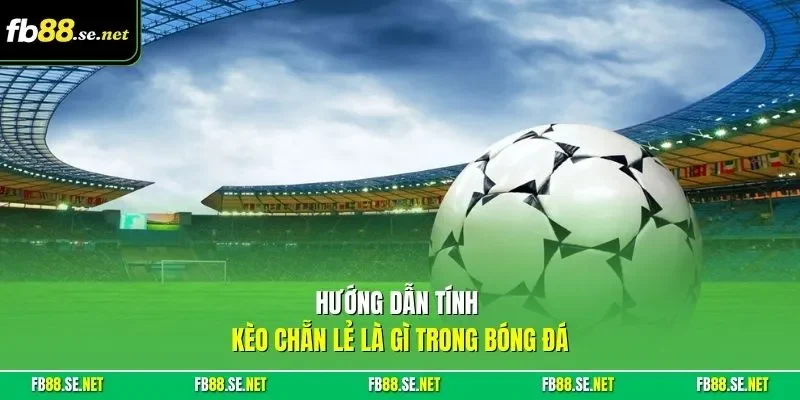 Hướng dẫn tính kèo chẵn lẻ là gì trong bóng đá